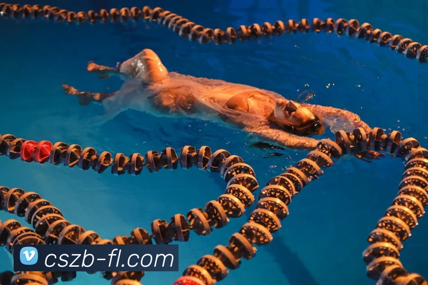 彩神争霸APP 高清赛事图